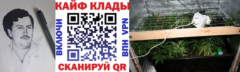 Купить наркотики Домодедово КОКАИН  Меф  СК  ГАШ 