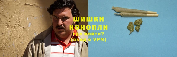 СК Бикин