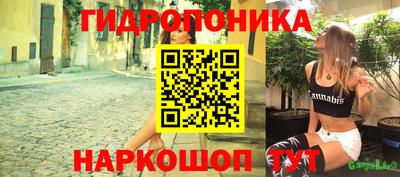 шишки Беслан