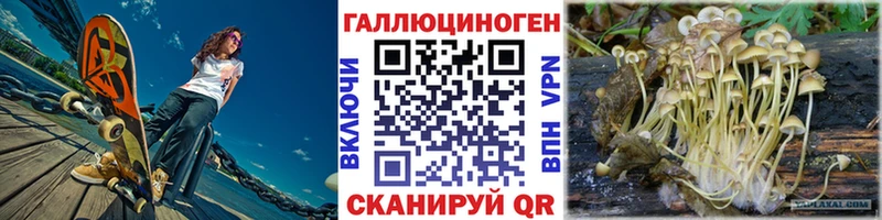 Галлюциногенные грибы GOLDEN TEACHER  хочу наркоту  ОМГ ОМГ ссылка  Домодедово 