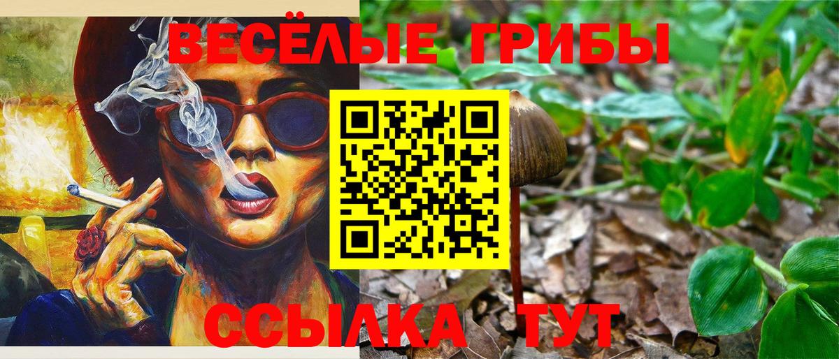 Псилоцибиновые грибы Magic Shrooms Домодедово